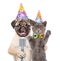 Kitten and Puppy in birthday hats singing with microphone a karaoke song. isolated on white background