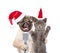 Kitten and puppy in christmas hats singing with microphone a karaoke song. isolated on white background