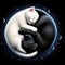 The kitten and puppy sleep like yin yang traditional symbols