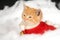 Kitten in red holiday vest