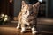 Kitten\\\'s Endearing Stare: Irresistibly Cute and Charming