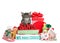 Kitten with Santa Stop Here We Have Cookies sign