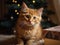 Kitten Sits Near Boxes With Christmas Gifts