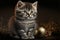 a kitten sitting next to a golden ball and a christmas decoration on a black background with gold balls around it