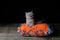 Kitten sitting on an orange pillow, black background