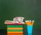 kitten sleep on the books near empty green chalkboard