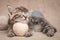 Kitten sleeps resting its head on a ball of yarn