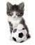 Kitten with a soccer ball