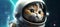 Kitten in spacesuit looking something, AI generative