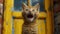 A kitten is standing in front of a yellow door with its mouth open