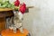 Kitten on a stool sniffs red roses on a table