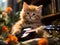 Kitten strums tiny guitar amidst music sheets