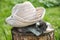 Kitten under hat. Two kittens playing on a stump