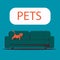 Kitten walking on the sofa. Pets. Flat vector illustration.