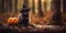 Kitten in a witch\\\'s hat in the autumn forest. Place for text. Generative AI