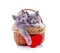 Kittens in the basket with a toy heart