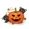 Kittens play with Halloween pumpkin