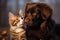 Kittens and puppies share a heart melting bond of friendship and love