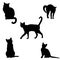 Kittens . Vector illustration. Black on white