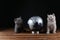 Kittens and world globe