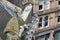 Kittiwakes nesting on the rooftops of Newcastle Quayside architecture