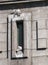 Kittiwakes roost on Tyne Bridge, Newcastle, UK