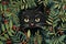 Kitty feline black nature background domestic green cute animal kitten cats pet