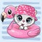 Kitty in panama hat swimming on pool ring inflatable flamingo