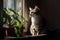 Kitty seated on window sill with houseplant in dark room