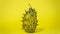 Kiwano, African cucumber, vegetable on yellow background
