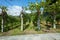 Kiwi and apple cultivation in a summer day, blue sky in Italy