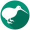Kiwi bird flat icon vector illustration