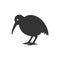 Kiwi bird icon