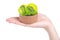 Kiwi candied fruit in wooden bowl in hand