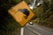 Kiwi crossing road sign