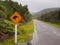 Kiwi Crossing Sign in Rain