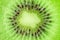 Kiwi fruit. Cross cut of kiwi juicy flesh with seeds closeup