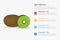 Kiwi fruit infographics with some point title description for information template -