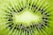 Kiwi fruit macro