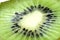 Kiwi Fruit Macro Isolated