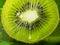 Kiwi fruit nice detail