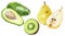 Kiwi fruit slice pear avocado set watercolor isolated on white background