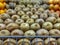 Kiwi fruits are laid out on store shelf. In background are oranges and grapefruits. Composite way to attract buyers. Full frame