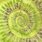 Kiwi infinity spiral abstract background.