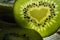 Kiwi Love