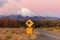 Kiwi road sign and volcano Mt. Ngauruhoe at sunset, Tongariro Na