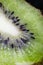 Kiwi, seed, design, fruit, streaks, shine, texture, glare, flesh