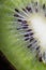 Kiwi, seed, design, fruit, streaks, shine, texture, glare, flesh