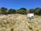 Kiwi sign at Motutapu Island