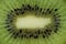 Kiwi slice